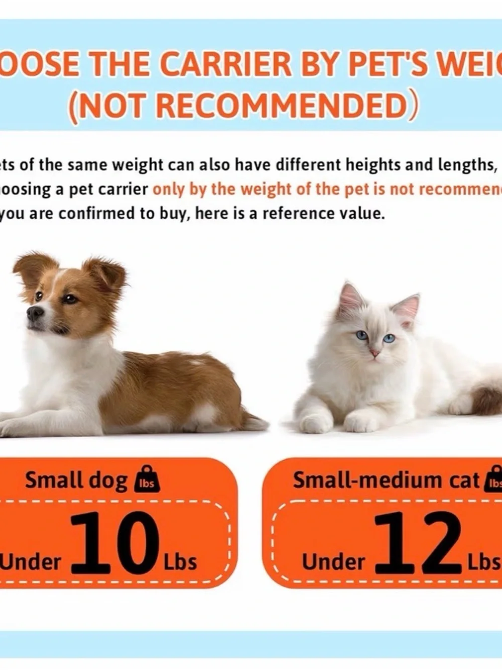 Practically New Airline-Approved Pet Carrier (18x11x11)